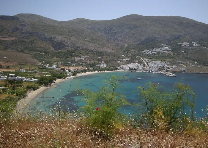 Kaminaki Amorgos 公寓 *
